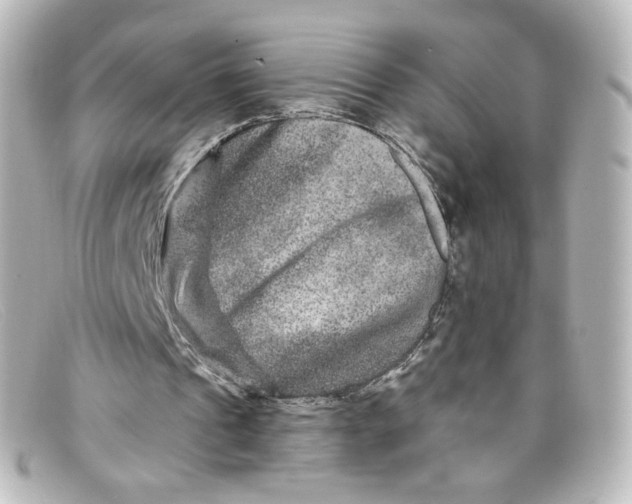 X0000098150241200805081048