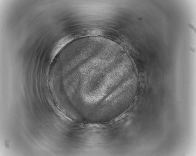 X0000098150242200805081048