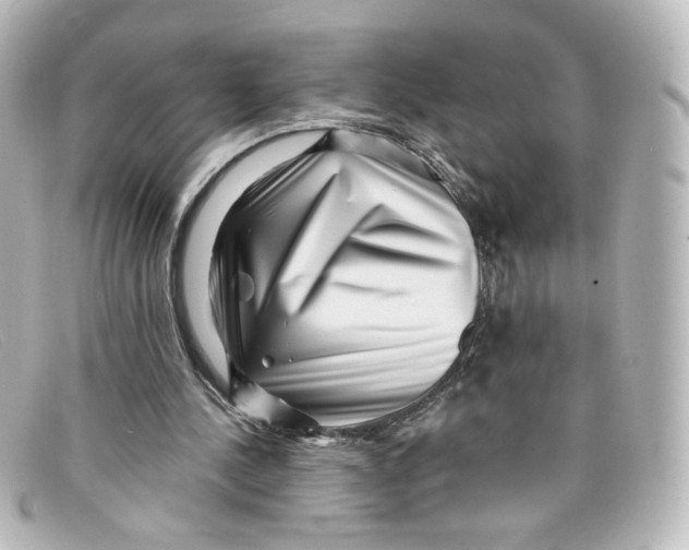 X0000098150244200805081048
