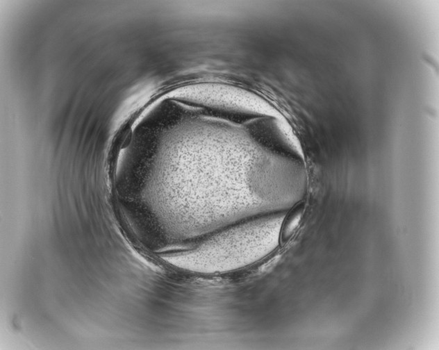 X0000098150245200805081048