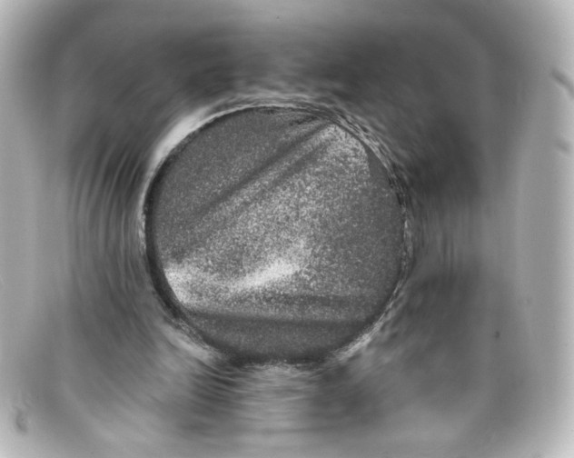 X0000098150246200805081048