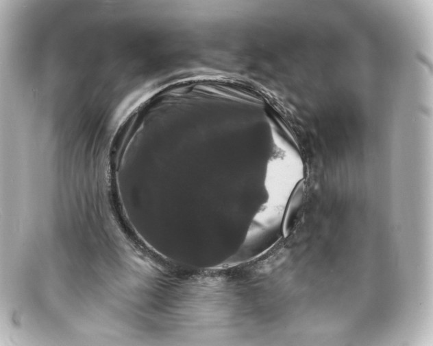 X0000098150247200805081048