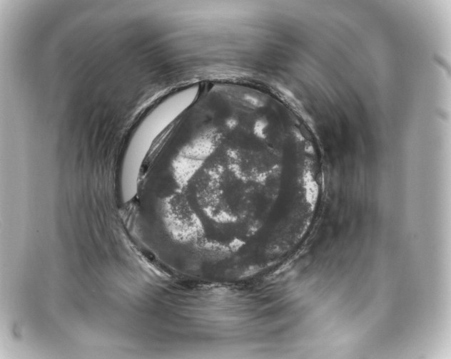 X0000098150249200805081048