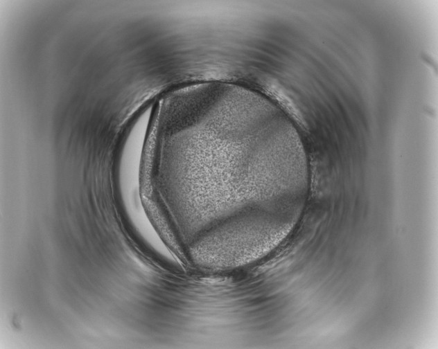 X0000098150251200805081048