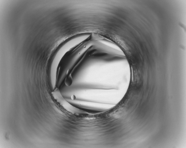 X0000098150252200805081048