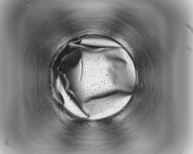 X0000098150253200805081048