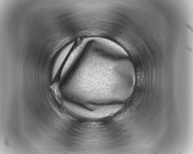 X0000098150254200805081048