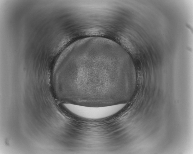 X0000098150255200805081048