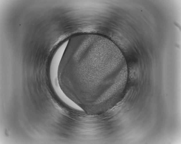 X0000098150256200805081048