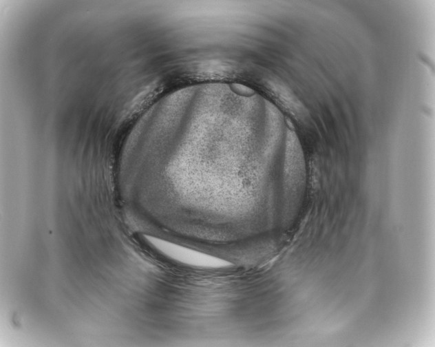X0000098150258200805081048