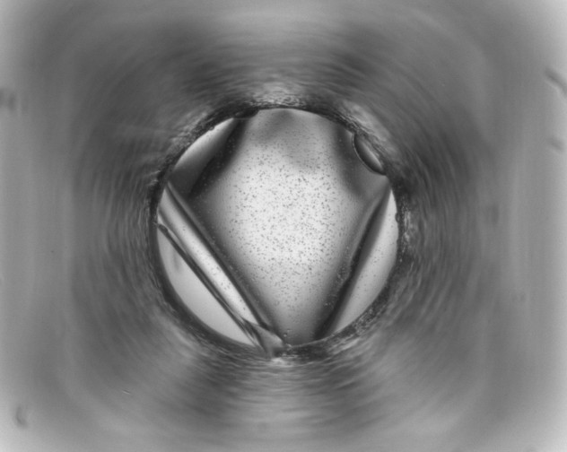 X0000098150259200805081048