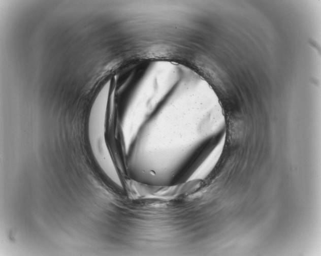 X0000098150260200805081048