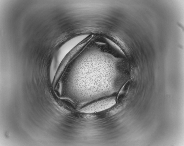 X0000098150261200805081048