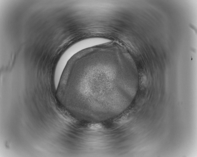 X0000098150262200805081048