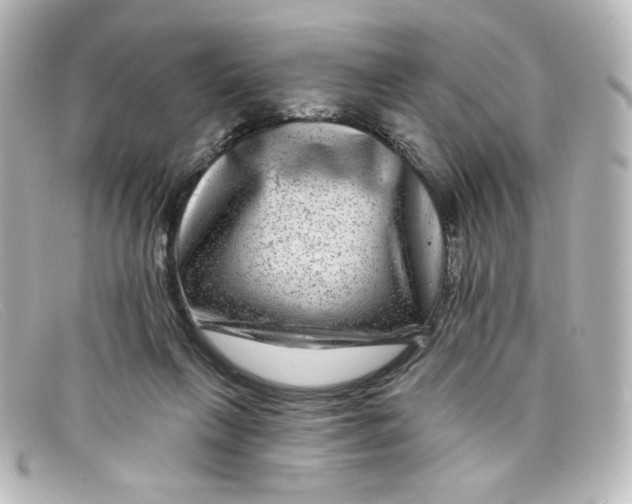 X0000098150263200805081048