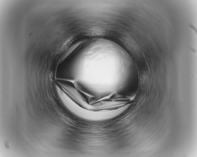 X0000098150264200805081048