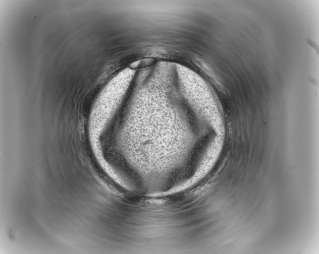 X0000098150265200805081048