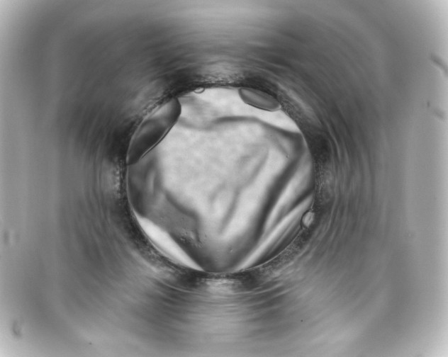 X0000098150268200805081048