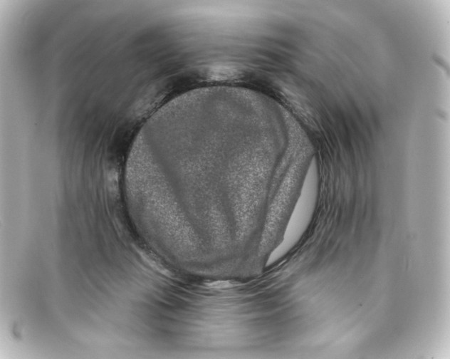 X0000098150269200805081048