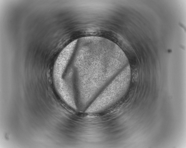 X0000098150270200805081048