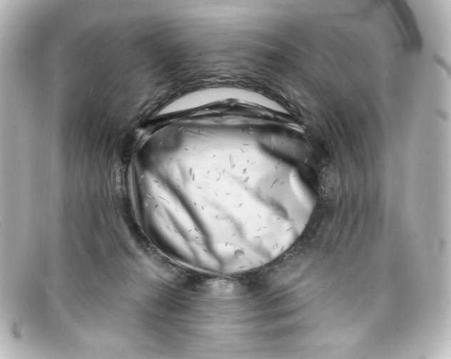 X0000098150272200805081048