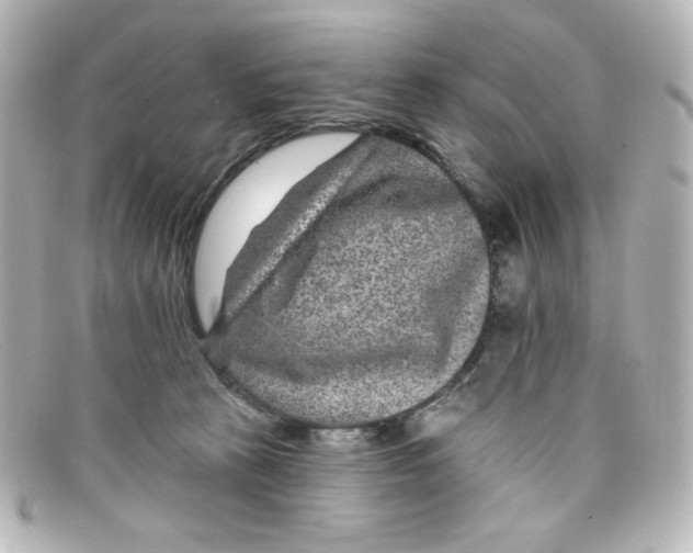 X0000098150273200805081048