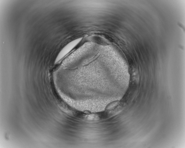 X0000098150275200805081048