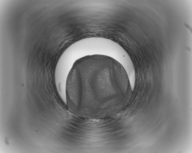 X0000098150276200805081048