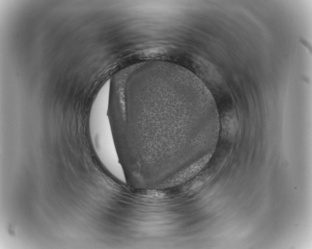 X0000098150278200805081048