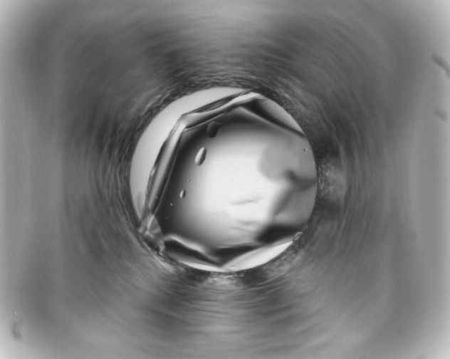X0000098150280200805081048