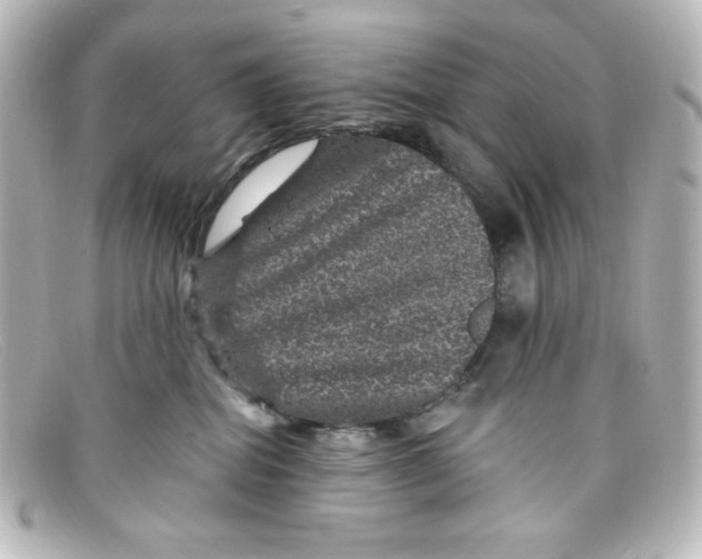 X0000098150282200805081048