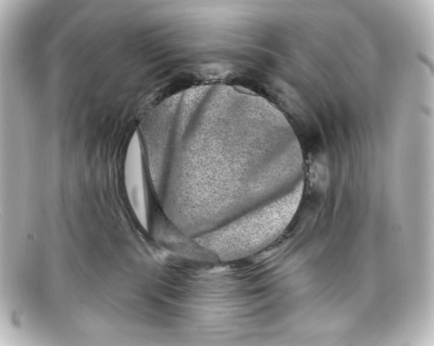X0000098150283200805081048