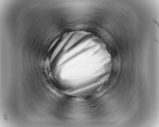 X0000098150284200805081048