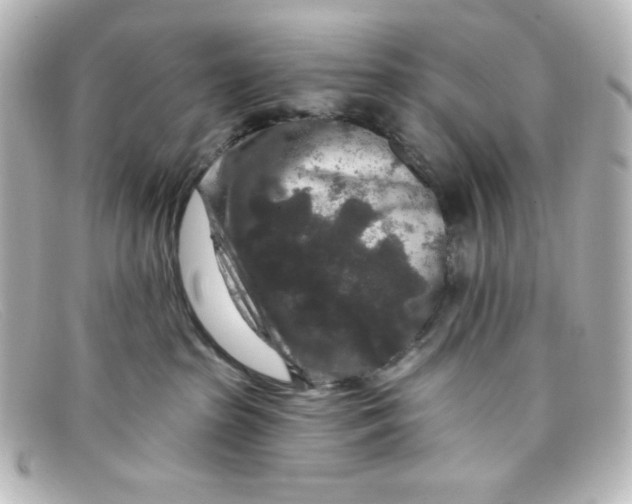 X0000098150285200805081048
