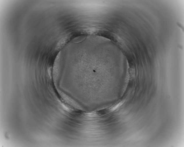 X0000098150286200805081048
