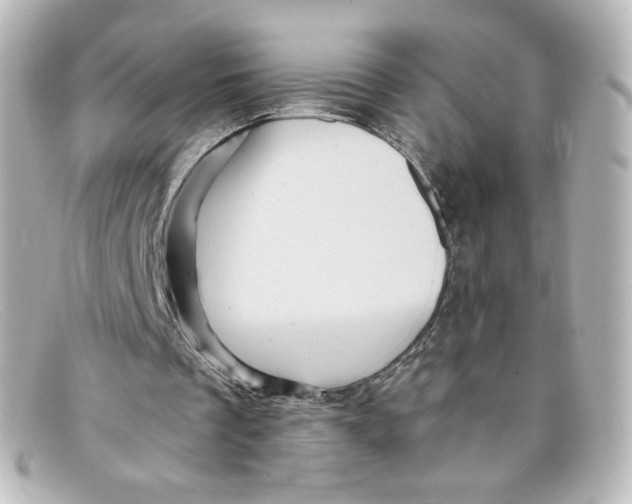 X0000098150289200805081048