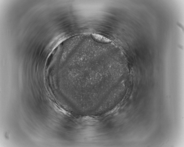 X0000098150290200805081048