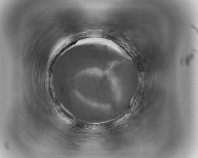 X0000098150293200805081048