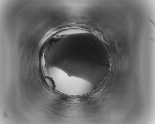 X0000098150295200805081048