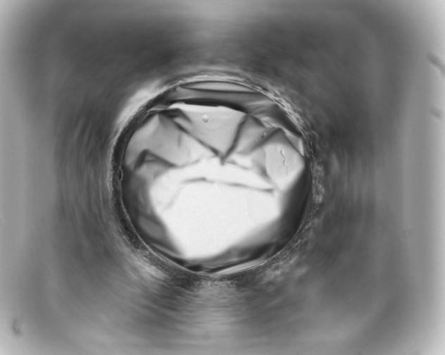 X0000098150296200805081048