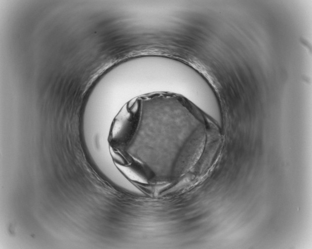 X0000098150297200805081048