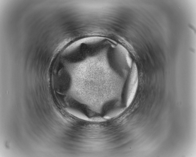 X0000098150298200805081048