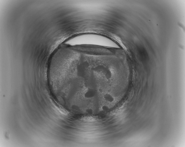 X0000098150299200805081048