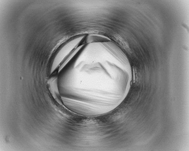 X0000098150300200805081048