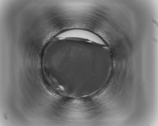 X0000098150303200805081048