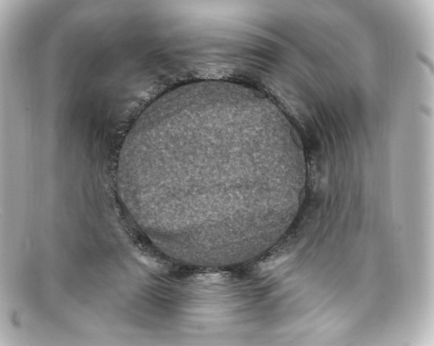 X0000098150307200805081048