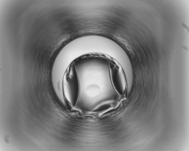 X0000098150308200805081048