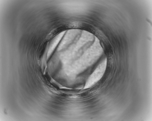 X0000098150312200805081047