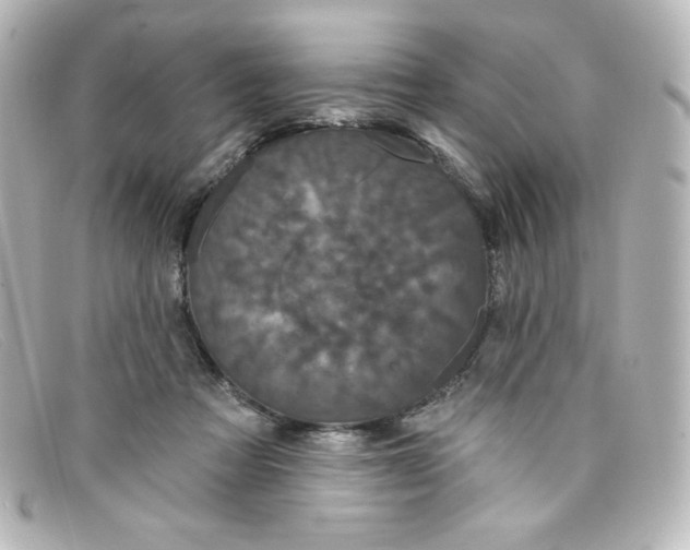 X0000098150313200805081047