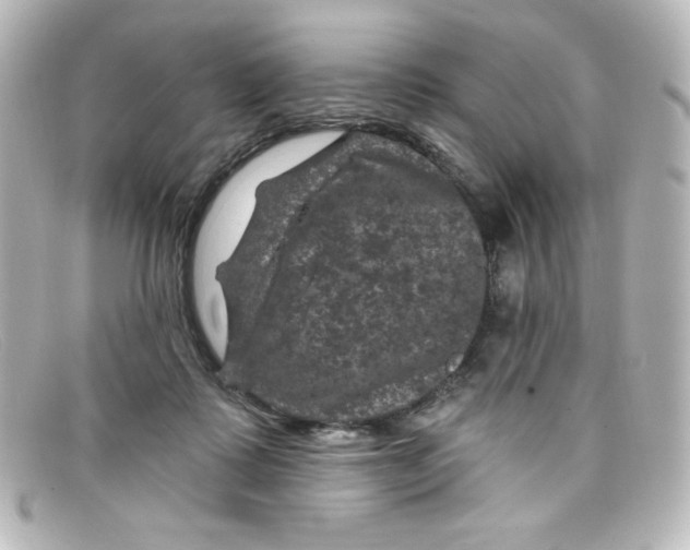 X0000098150315200805081047